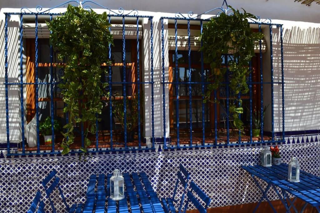 Apartamento En Sevilla Centro Con Vistas A La Plaza Alameda De Hercules - Hasta 6 Personas エクステリア 写真