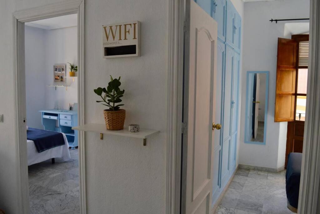 Apartamento En Sevilla Centro Con Vistas A La Plaza Alameda De Hercules - Hasta 6 Personas エクステリア 写真
